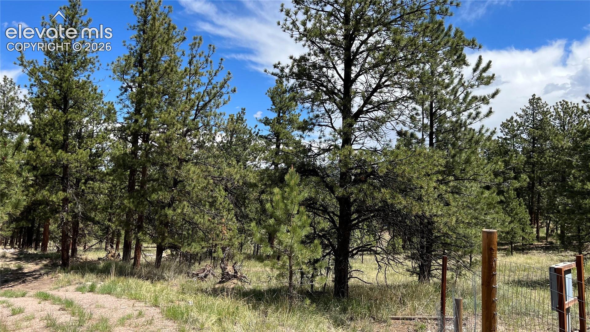 Land in Westcliffe 5