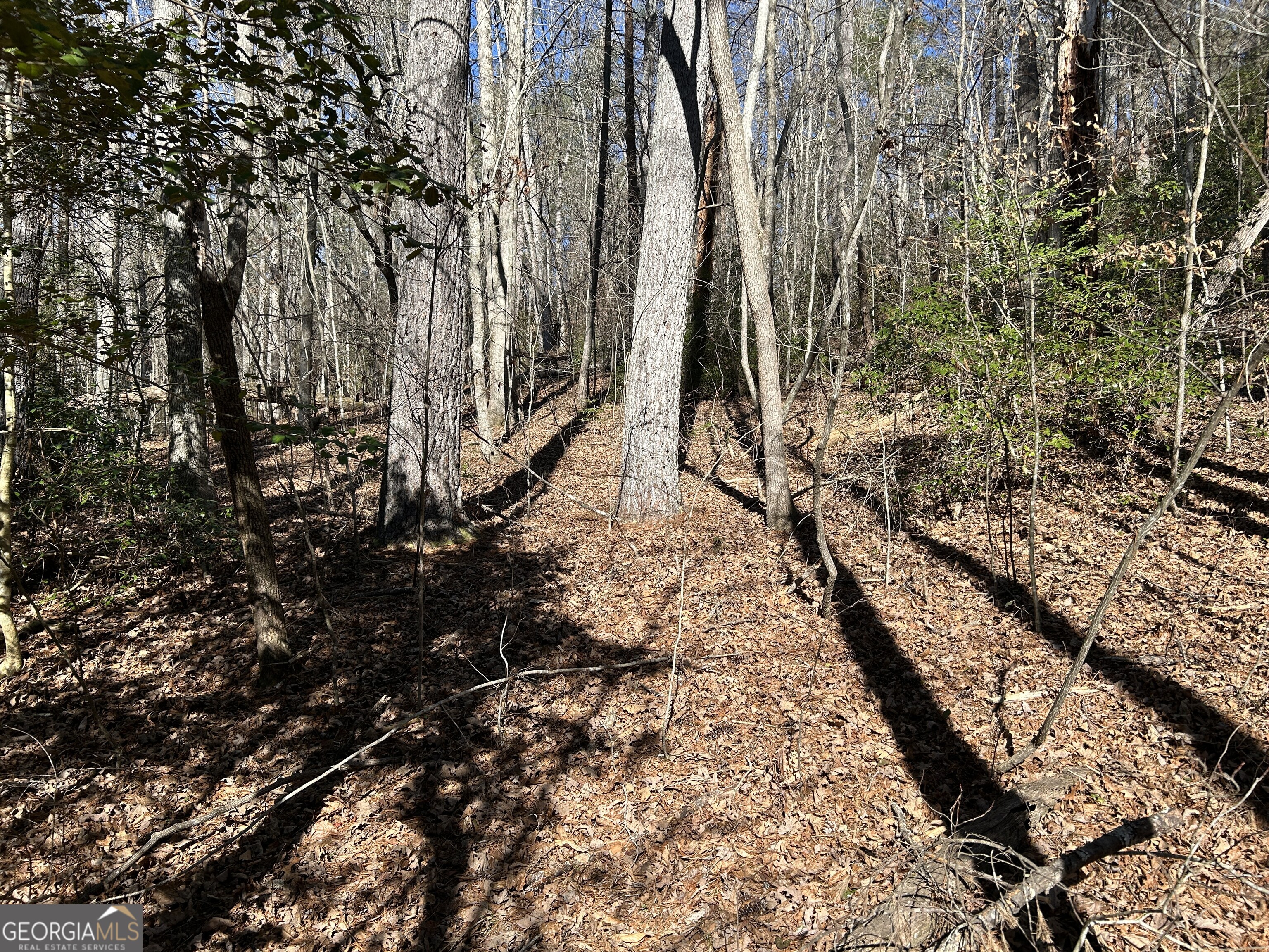 Land in Demorest 3