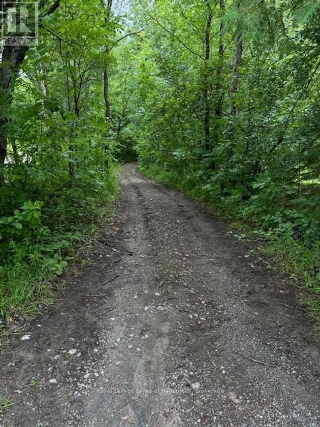 Lot 70 25th Line, Home with 0 bedrooms, 0 bathrooms and null parking in Algonquin Highlands (Stanhope) ON | Image 8