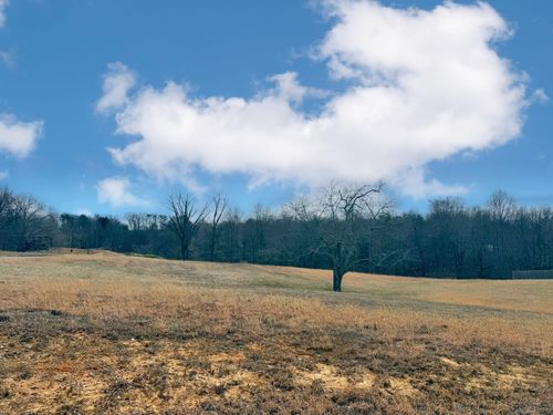 75 Morning Mist Dr, Somerset, KY, 42503-5863 | Card Image