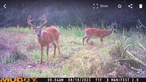 214 Arthur Byrd Road, Pocahontas, TN, 38061 | Card Image