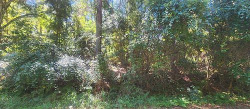 421 Dogwood Ave, Georgetown, FL, 32139 | Card Image