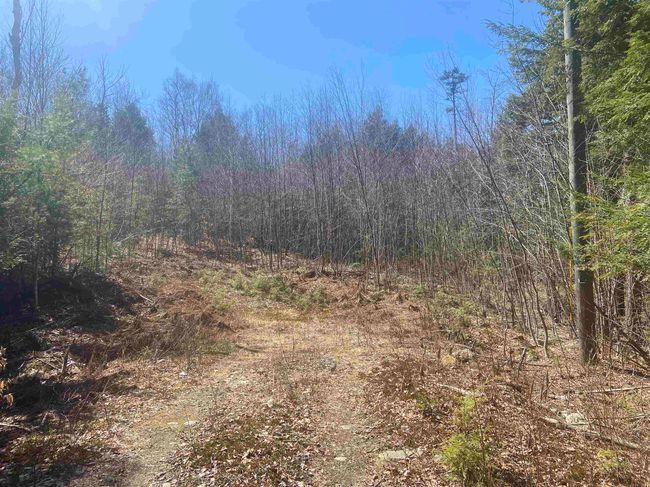 0 Teela Drive, Home with 0 bedrooms, 0 bathrooms and null parking in Sullivan NH | Image 6