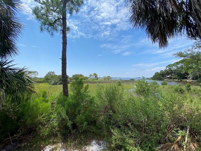 Lot #21 Watson Cir, Home with 0 bedrooms, 0 bathrooms and null parking in CEDAR KEY FL | Image 22