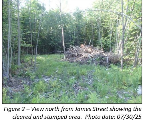 7 James Street, Bethlehem, NH, 03574 | Card Image