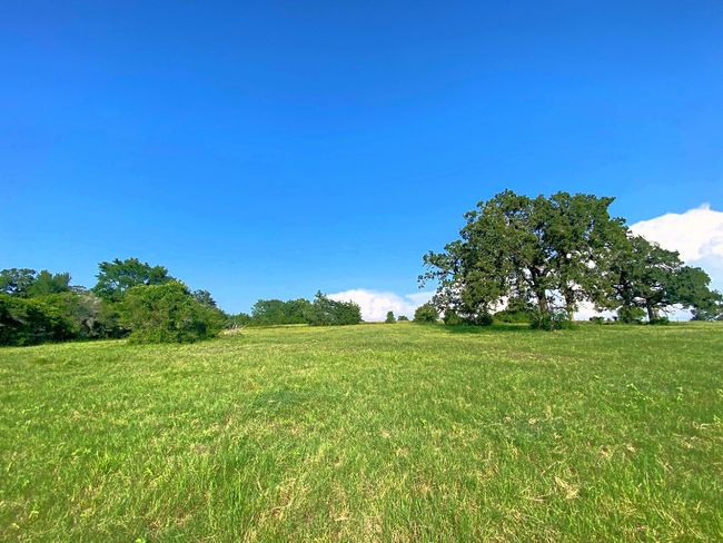 View of yard featuring a rural view | Image 27