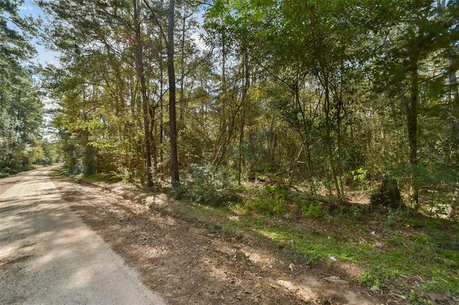 0 Bob Wahle Ln, Home with 0 bedrooms, 0 bathrooms and null parking in Coldspring TX | Image 5