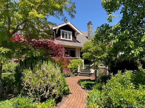 {{alt}} | Card Image