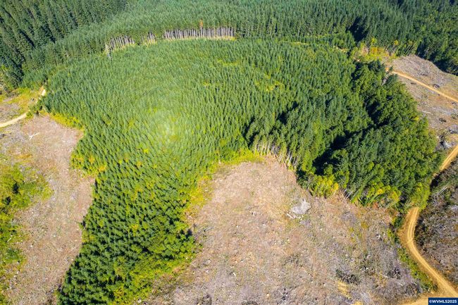 0 Bald Mountain Rd, Home with 0 bedrooms, 0 bathrooms and null parking in Beaver OR | Image 21