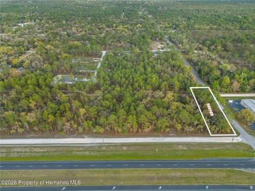 17416 Nicasio Jay Avenue, BROOKSVILLE, FL, 34614 | Card Image