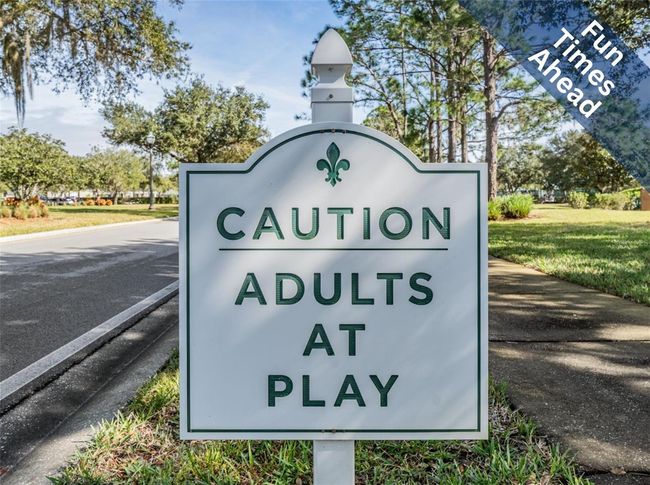 1809 Arbor Knoll Loop, House other with 3 bedrooms, 2 bathrooms and null parking in TRINITY FL | Image 48
