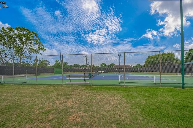 Tennis anyone? | Image 23