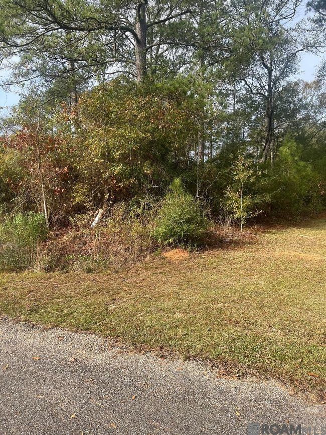 lot 26 Bo Derrick Dr, Home with 0 bedrooms, 0 bathrooms and null parking in Jackson LA | Image 4
