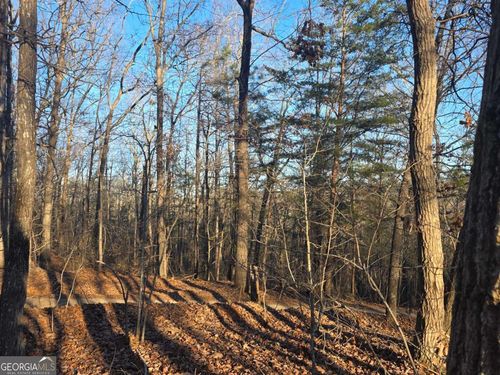 0 Carters Lake Overlook, Ellijay, GA, 30540 | Card Image