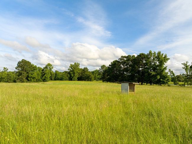 View of nature with rural landscape | Image 12
