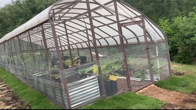 Greenhouse | Image 16