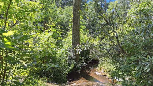 44 Rainbow Rd, Highlands, NC, 28741-7527 | Card Image