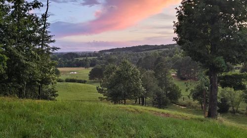 0 Co Rd 436, Cullman, AL, 35057 | Card Image