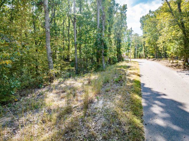 LOT 14/16 Ridgeway Dr, Home with 0 bedrooms, 0 bathrooms and null parking in Sugar Tree TN | Image 9