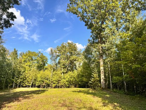 TBD Vagabond Loop Vagabond Loop, Bemidji, MN, 56601 | Card Image
