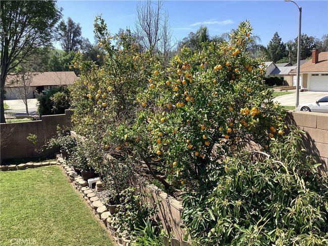 3900 Rosebay St, House other with 3 bedrooms, 2 bathrooms and 2 parking in Chino Hills CA | Image 40
