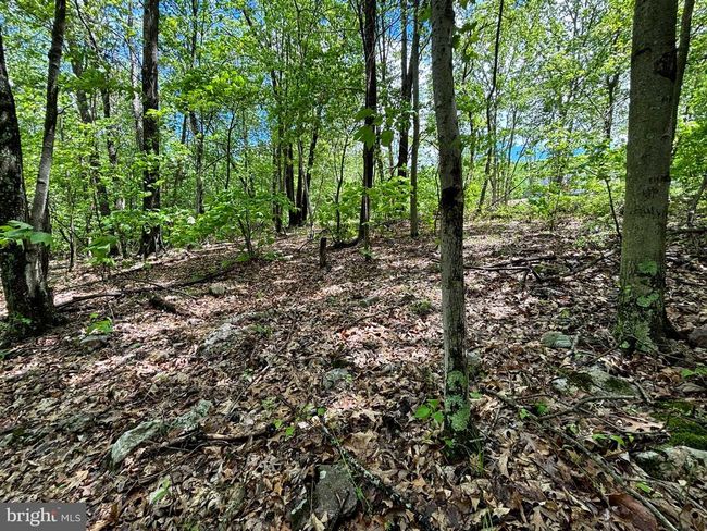 LOT 4 Yost Rd, Home with 0 bedrooms, 0 bathrooms and null parking in New Creek WV | Image 11