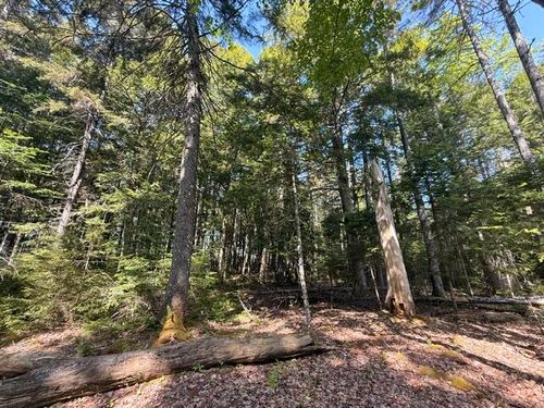Lot #17 Sunset Cove Way, Orland, ME, 04472-4395 | Card Image