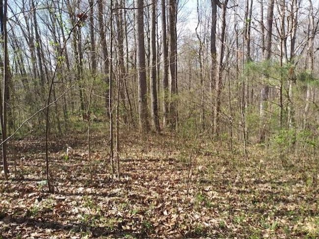 620 Ivy Creek Dr, Home with 0 bedrooms, 0 bathrooms and null parking in Nicholson GA | Image 4