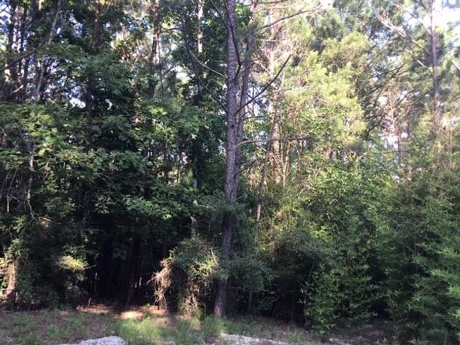 272 Artesian, Home with 0 bedrooms, 0 bathrooms and null parking in Onalaska TX | Image 7