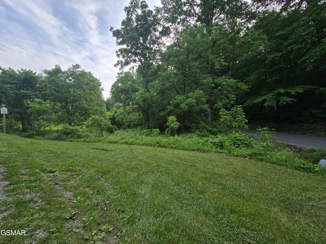 8 Mccarter Hollow Rd, Home with 0 bedrooms, 0 bathrooms and null parking in Sevierville TN | Image 10