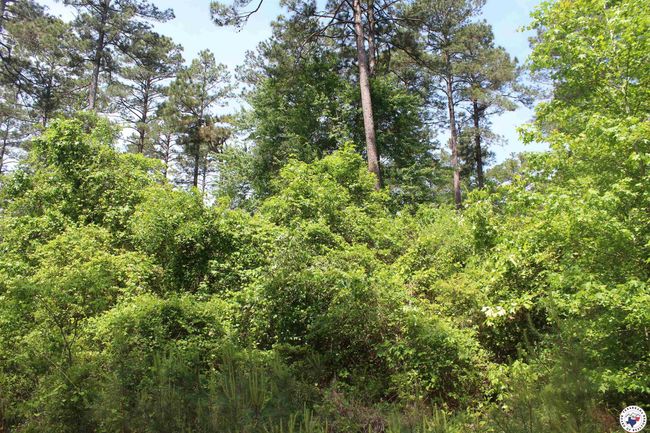 201 Nevada 25, Home with 0 bedrooms, 0 bathrooms and null parking in Rosston AR | Image 9