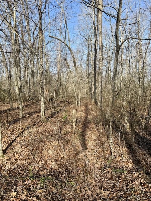 101 Antietam Rd, Beechgrove, TN, 37018-3569 | Card Image
