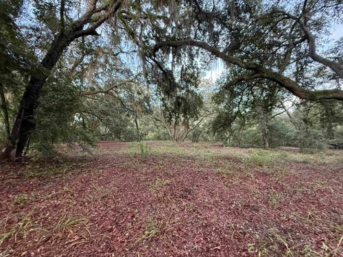 0 Willm Brtrm Scnc And Hstrc Trl, Saint Augustine, FL, 32092 | Card Image