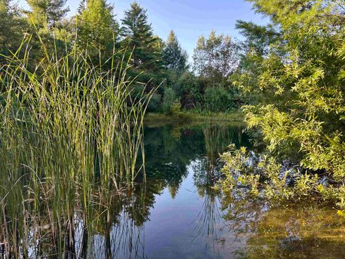 915 Maple Hill Rd, Barton, VT, 05822-9300 | Card Image