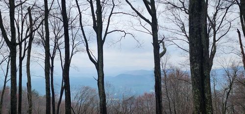 9 Wilderness Creek Way, Murphy, NC, 28906-3124 | Card Image