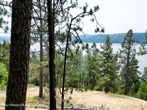 NNA S Lacon Ln, Harrison, ID, 83833 | Card Image