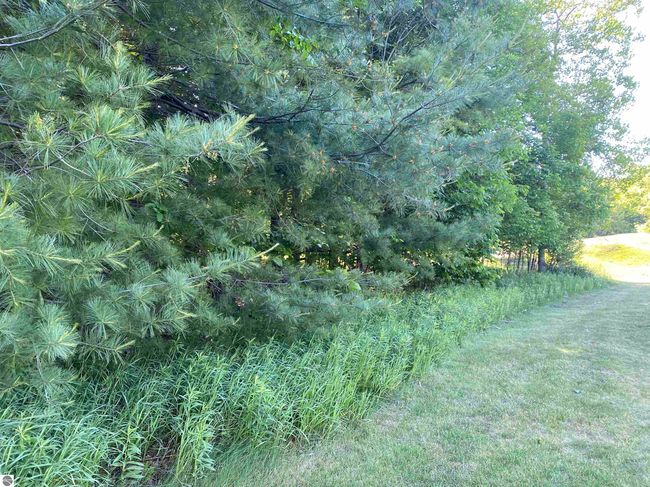 Lot 10 S Club Dr, Home with 0 bedrooms, 0 bathrooms and null parking in Cedar MI | Image 15