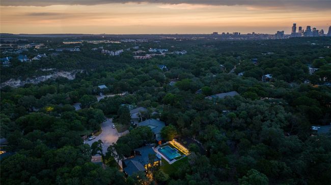Aerial view at dusk of a forest view | Image 40