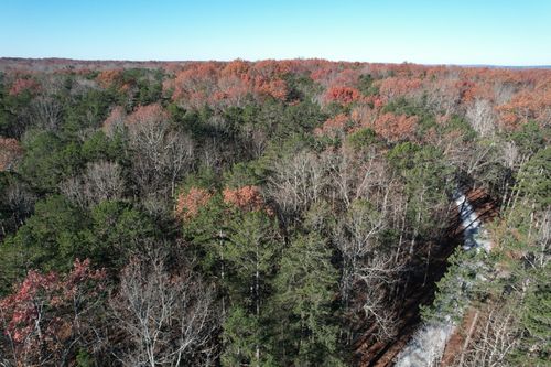 9 Savage Highland Dr, Coalmont, TN, 37313-7952 | Card Image