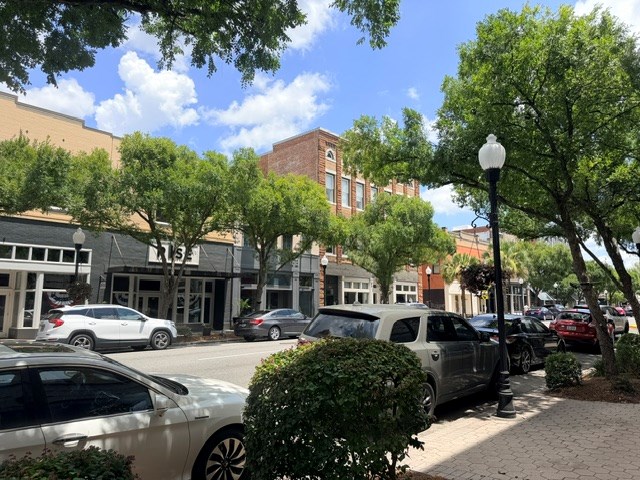Commercial Sale in Valdosta 5