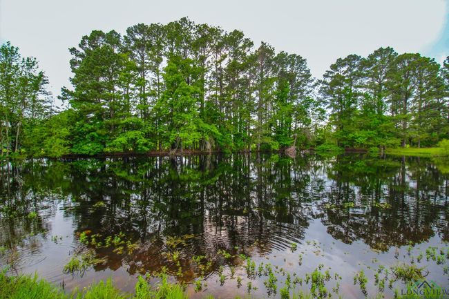 000 Fm 1794 E, Home with 0 bedrooms, 0 bathrooms and null parking in De Berry TX | Image 18