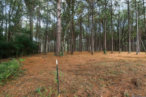80114 Rosemary Lane, St Francisville, LA, 70775 | Card Image
