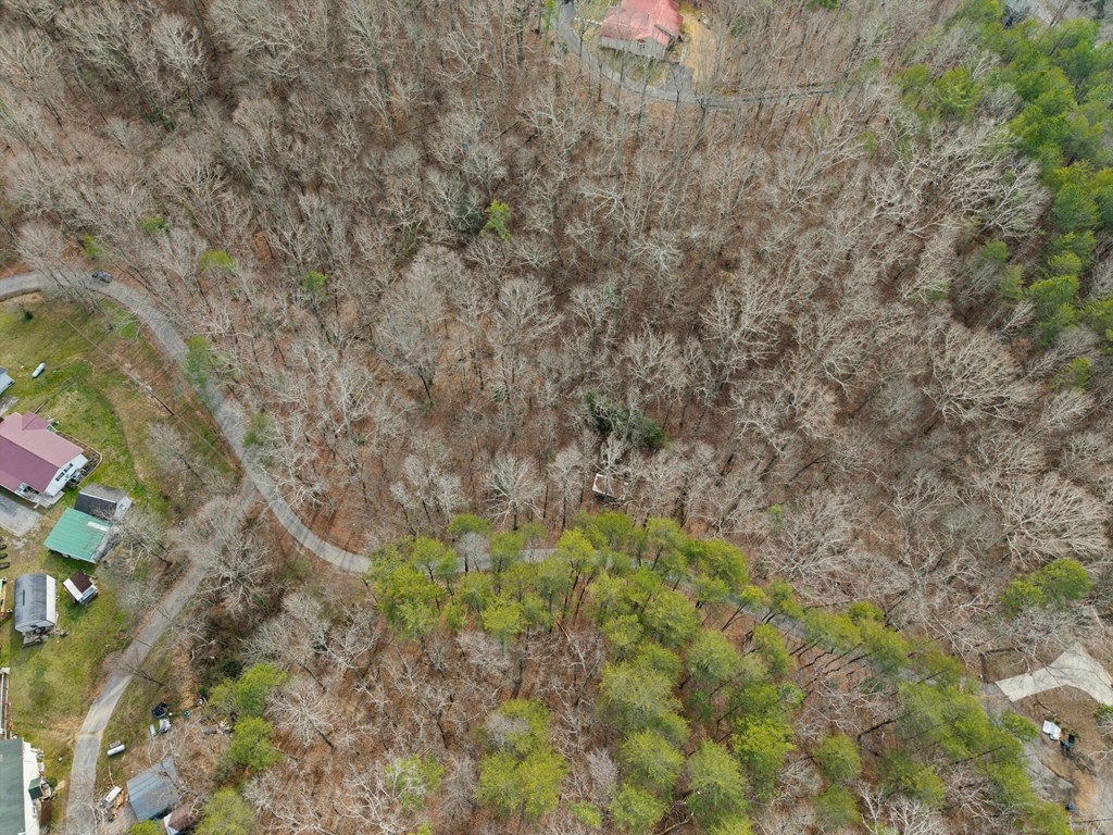 Land in Rossville 3