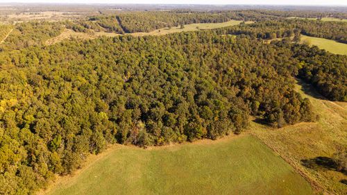 Tbd Private Rd, Koshkonong, MO, 65692 | Card Image