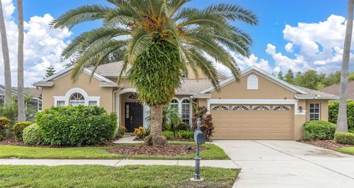 8729 Torchwood Dr, TRINITY, FL, 34655-5335 | Card Image