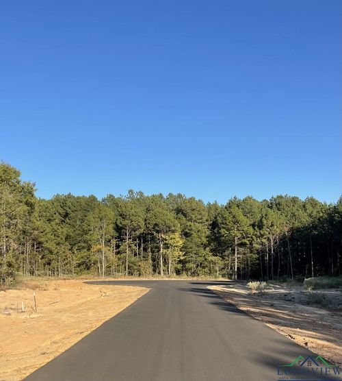 TBD LOT 18 Stonebrook Ct, New Diana, TX, 75640 | Card Image