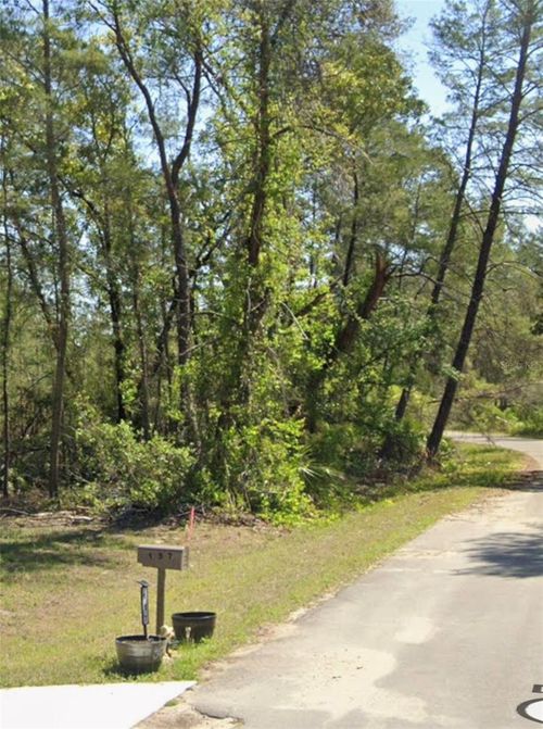 TBD Fisher Court Way, Ocklawaha, FL, 32179 | Card Image