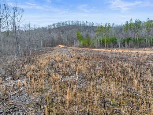 Tract 19 Co Rd 79, Waterloo, AL, 35677-WA | Card Image