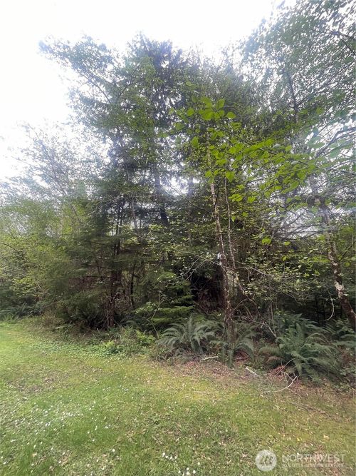 0 Lot 42 Bay Lane, South Bend, WA, 98586 | Card Image