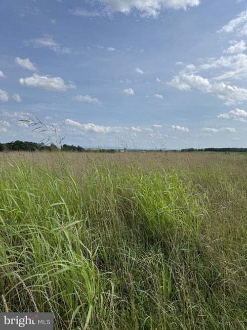 Lot 2 Glebe Dr, CLEAR BROOK, VA, 22624 | Card Image